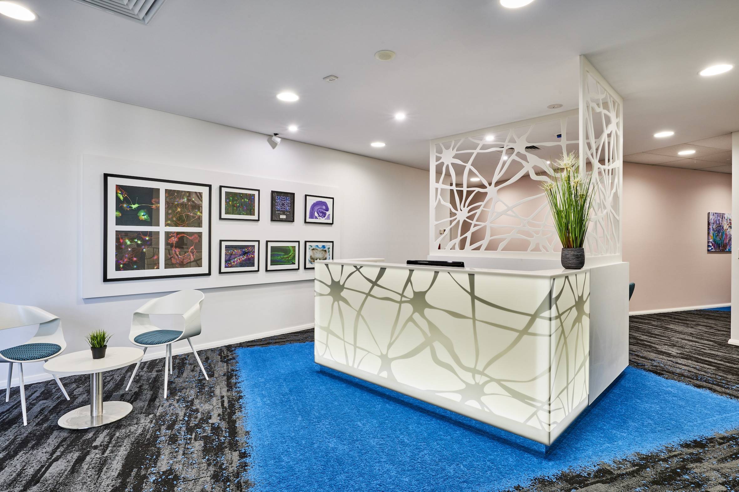 Office Fitouts Perth Interior Design and Fit Out Company Bellfort